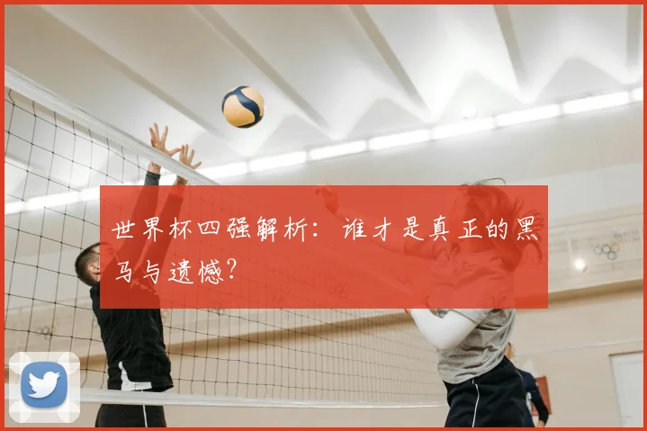 世界杯四强解析:谁才是真正的黑马与遗憾?