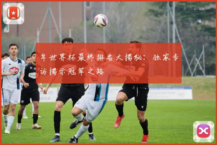 年世界杯最终排名大揭秘:独家专访揭示冠军之路