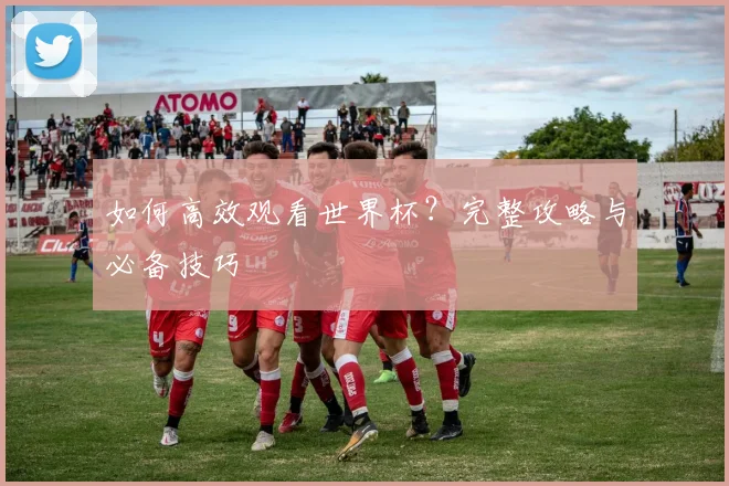 如何高效观看世界杯?完整攻略与必备技巧