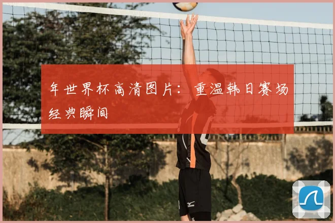 年世界杯高清图片：重温韩日赛场经典瞬间