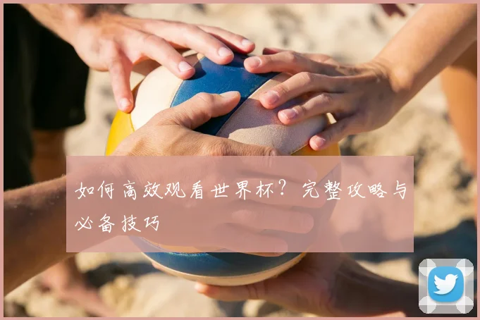 如何高效观看世界杯？完整攻略与必备技巧