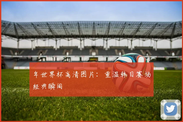 年世界杯高清图片：重温韩日赛场经典瞬间