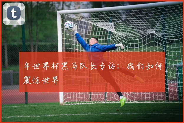 年世界杯黑马队长专访：我们如何震惊世界