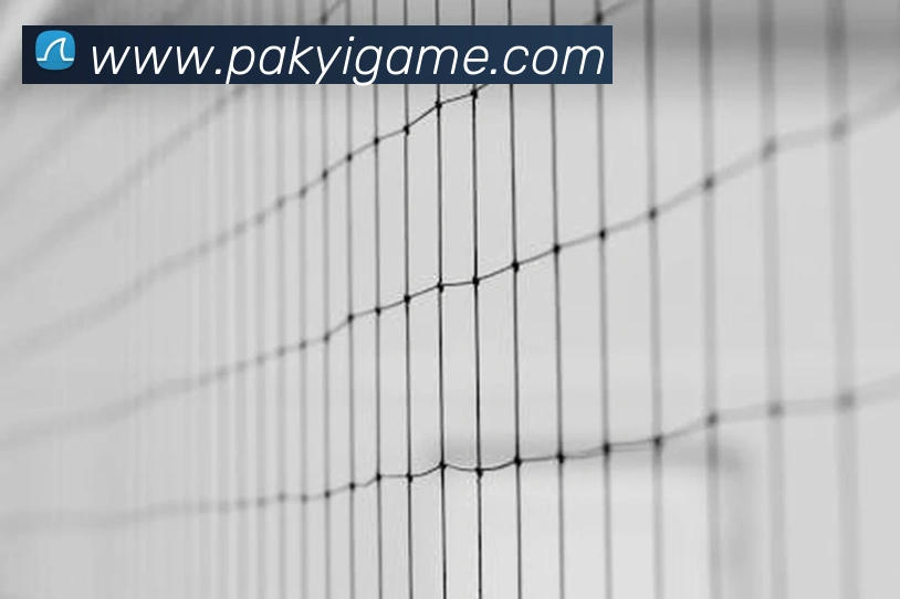 开云手机入口官方网站品牌故事