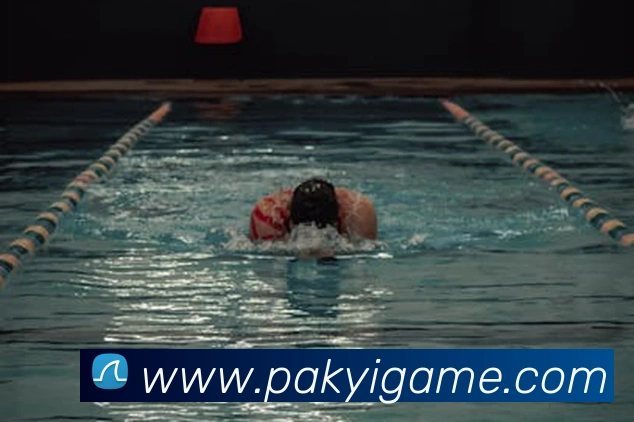 开云手机入口官方网站服务体系